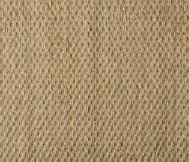 Seagrass Superior Carpet 2106 Swatch thumb