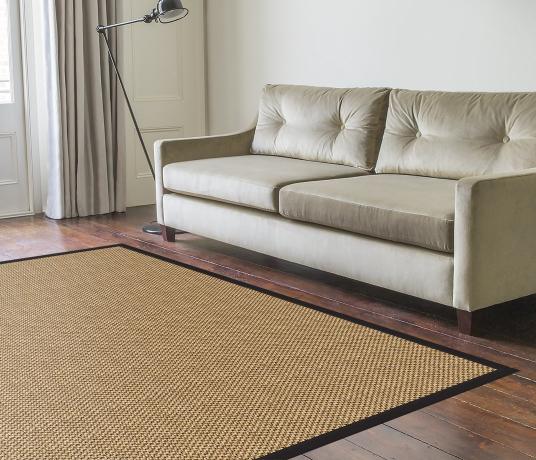 Donovan Sisal Rug in Living Room