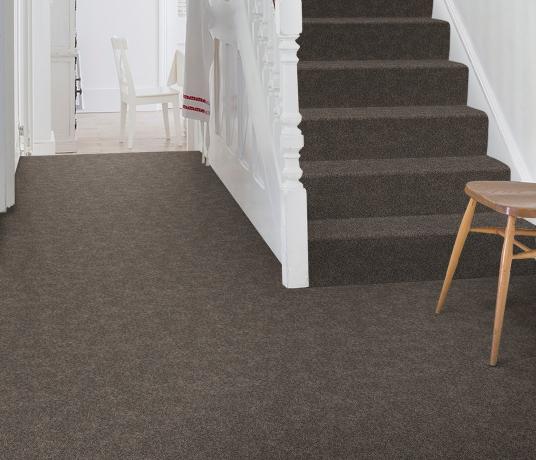 Barefoot Wool Bikram Nadi Carpet 5905 on Stairs