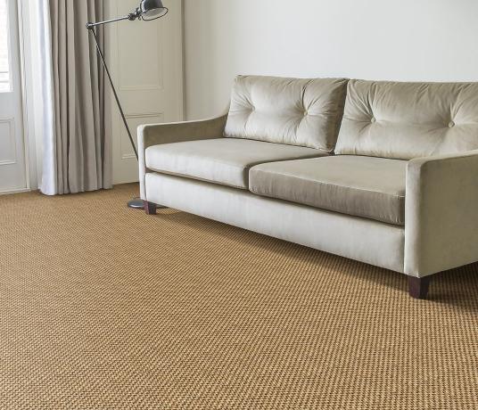 Sisal Bubbleweave Acapulco Carpet 2511 in Living Room