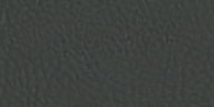 Faux Leather Borders Graphite 5521