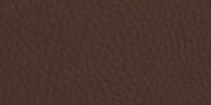 Faux Leather Borders Expresso 5524