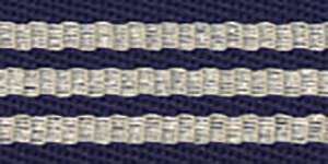 Stripes Thick Borders Blue 6205